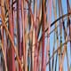 Detail-Infos